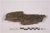 藏品(文字衣屬)的圖片